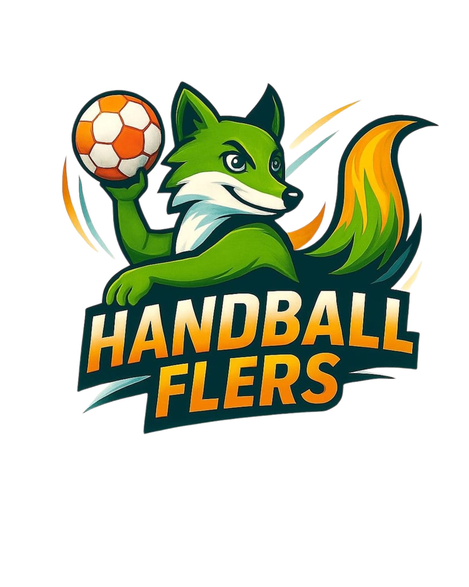 Handball FLERS